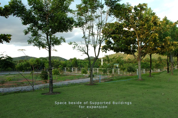 ขายโรงงาน และ สวนป่าเบญพรรณ อายุ 25 ปี อ.เขาชะเมา จ.ระยอง ราคาพิเศษ โทร 095-2601140