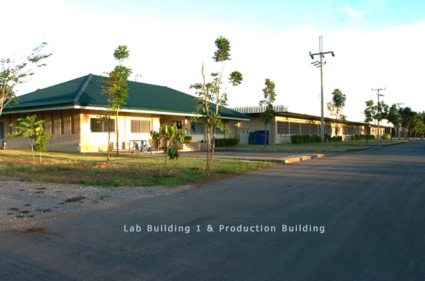 ขายโรงงาน และ สวนป่าเบญพรรณ อายุ 25 ปี อ.เขาชะเมา จ.ระยอง ราคาพิเศษ โทร 095-2601140