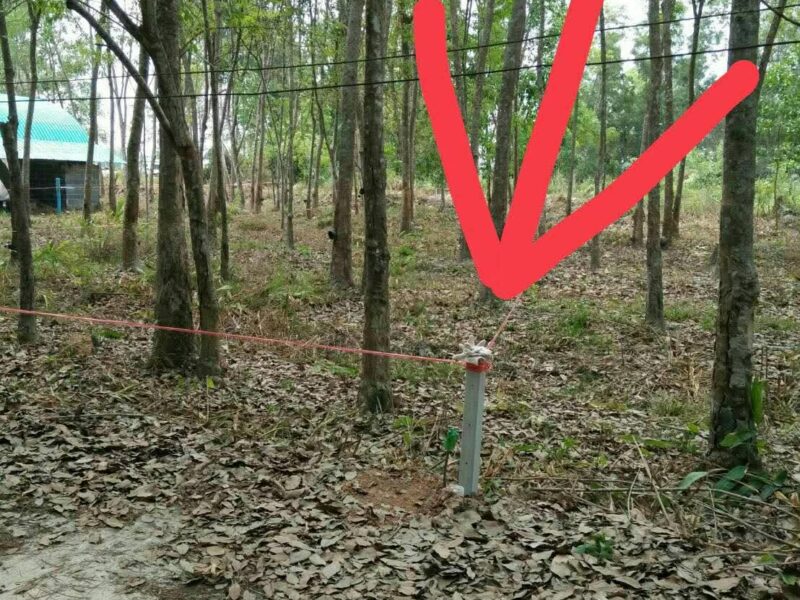 ขายที่ดิน 1 งาน ต.ซากพง อ.แกลง จ.ระยอง ราคาเพียง 500,000 บาท