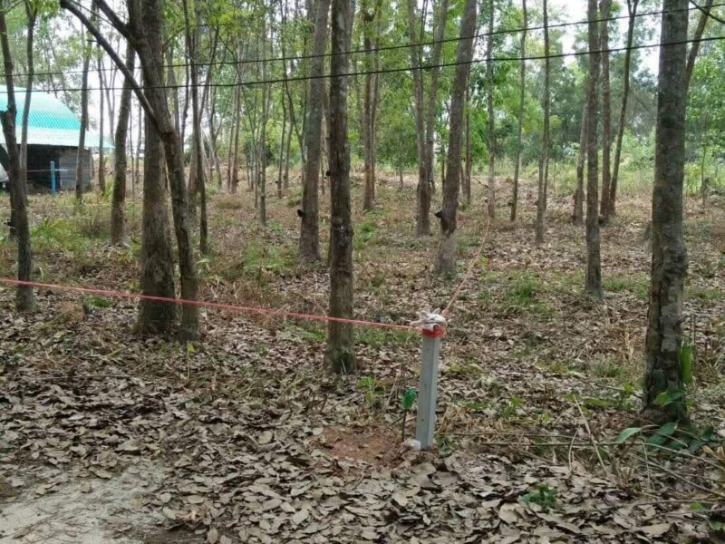 ขายที่ดิน 1 งาน ต.ซากพง อ.แกลง จ.ระยอง ราคาเพียง 500,000 บาท