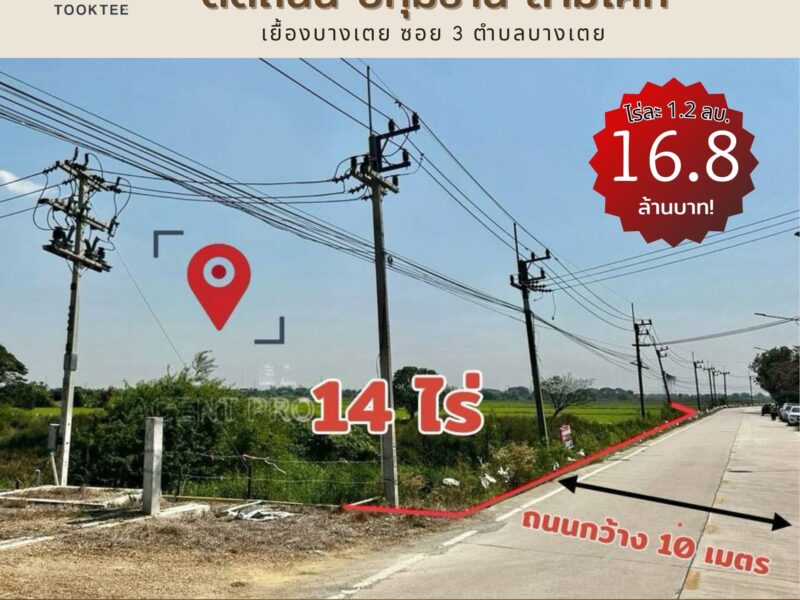 ที่ดิน ปทุมธานี สามโคก ขนาด 14 ไร่ แปลงสวย ใหญ่ ติดถนนหน้ากว้าง 80 ม.