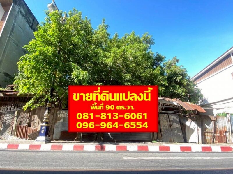 ขายที่ดินเปล่า 90 ตร.วา ใกล้ตลาดเทศบาลเมืองเพชรบุรี
