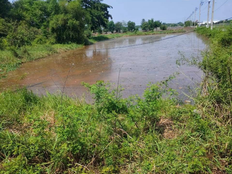 ขายที่ดิน 2-0-88 คลองสิบสอง หนองจอก
