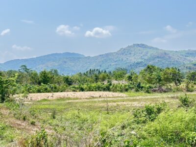 ที่ดิน ราคาถูก สวยที่สุด โฉนดครุฑเเดง บ้านนา นครนายก