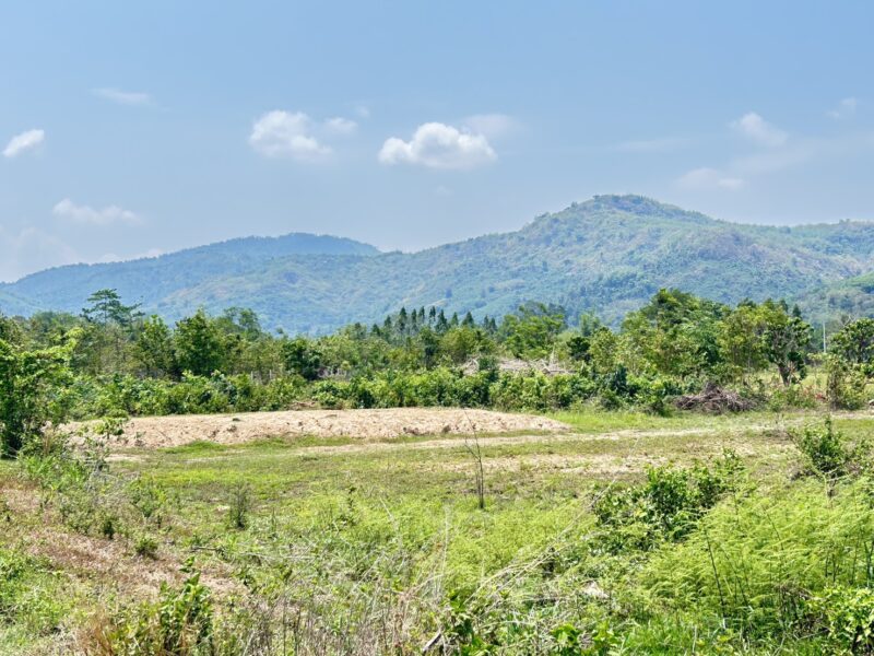 ที่ดิน ราคาถูก สวยที่สุด โฉนดครุฑเเดง บ้านนา นครนายก