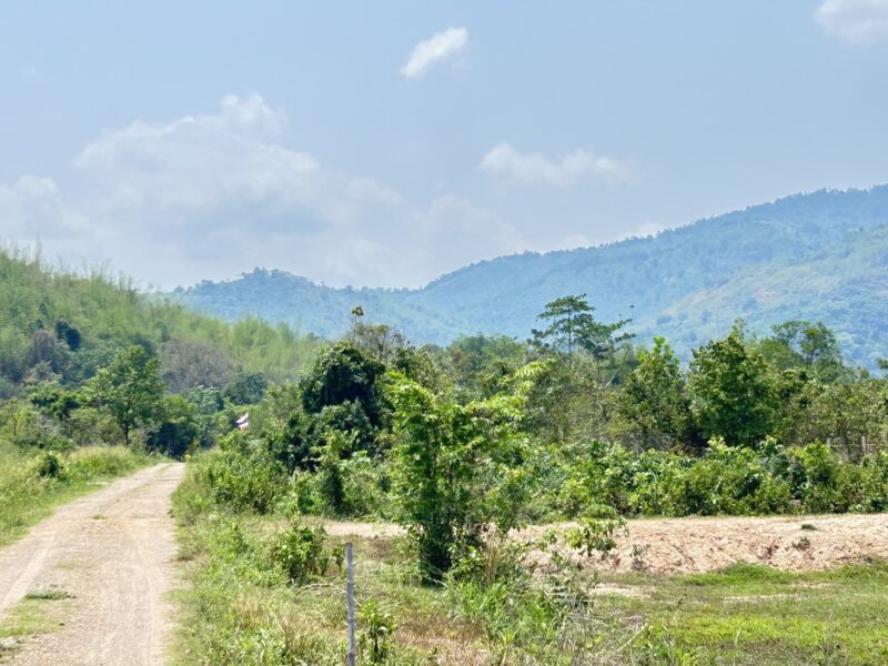 ที่ดิน ราคาถูก สวยที่สุด โฉนดครุฑเเดง บ้านนา นครนายก