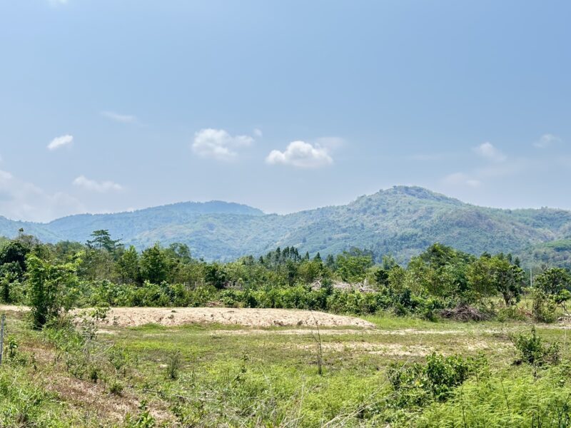 ที่ดิน ราคาถูก สวยที่สุด โฉนดครุฑเเดง บ้านนา นครนายก