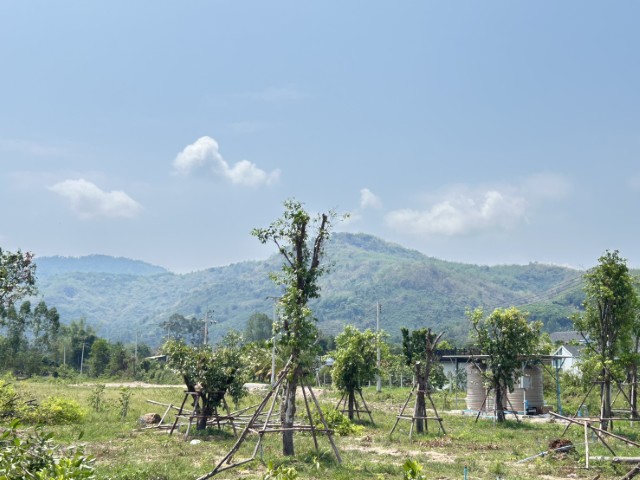 ที่ดิน ราคาถูก สวยที่สุด โฉนดครุฑเเดง บ้านนา นครนายก