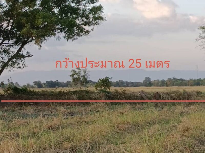 ที่ดิน โฉนด ราคาถูกๆๆ ขายด่วนๆๆๆถูกที่สุดในจังหวัด นครนายก 269,000 บาท ต่อไร่
