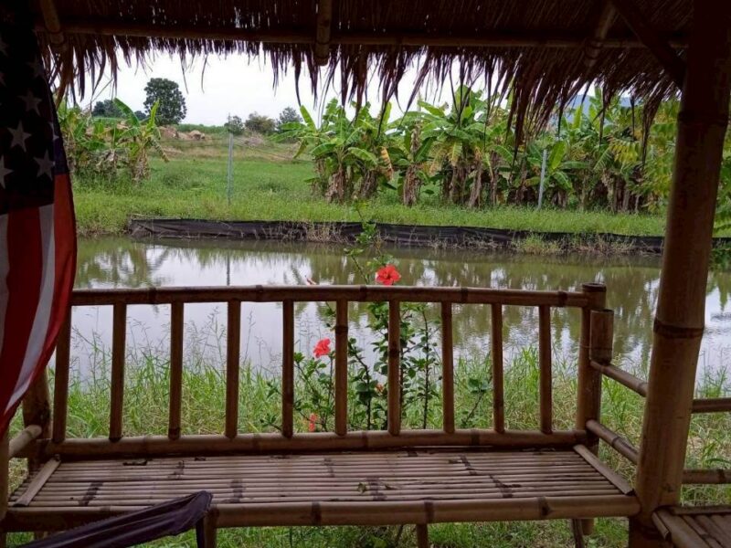 ขายที่ดินทางเลือก (ภบท5) ราคาจับต้องง่าย. ( 612บ./ ตร.วา ) ( 20 ไร่. : 4.9 ล้าน ) | ซื้อขาย เปลี่ยนชื่อได้ : พื้นที่. ปลอดภัยฯ หายห่วง | อากาศบริสุทธิ์ เงียบสงบ และ ส่วนตัว