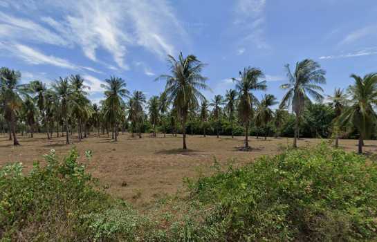 ขายที่ดินประจวบฯ 20 ไร่ 2 งาน 77 ตร.ว. ใกล้ถ้ำลับ หาดทุ่งน้อย และหาดน้ำมรกต