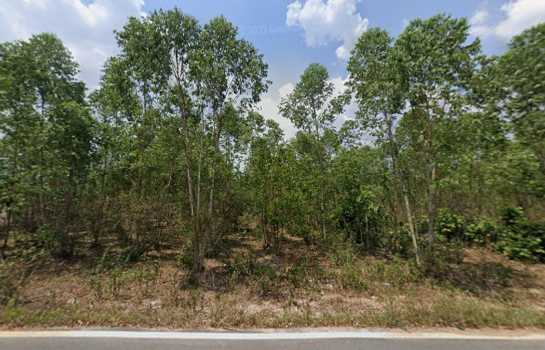ขายที่ดินชลบุรี เนื้อที่ 25 ไร่ 1 งาน 84 ตร.ว. ใกล้โรงเรียนบ้านหนองไผ่แก้ว