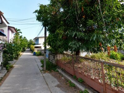 ขาย ที่ดินถมแล้ว ทำเลทองซอยกาญจนวนิช 7 (สงขลา) 49.4 ตร.ว. ใกล้ราชภัฏฯสงขลา แค่ 3 นาที! (ตรงข้าม) แปลงสวยพร้อมปลูกบ้านทันที
