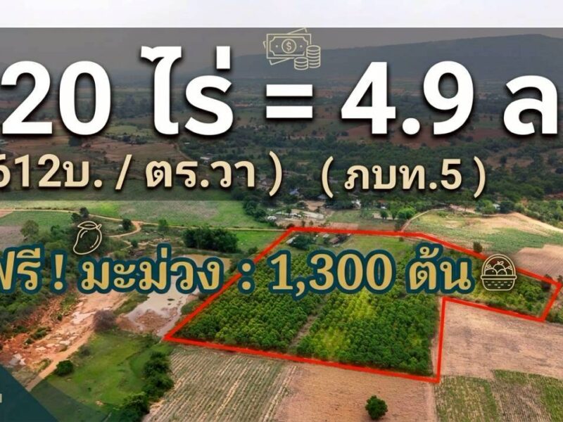ขายที่ดินทางเลือก (ภบท5) ราคาจับต้องง่าย. ( 612บ./ ตร.วา ) ( 20 ไร่. : 4.9 ล้าน ) | ซื้อขาย เปลี่ยนชื่อได้ : พื้นที่. ปลอดภัยฯ หายห่วง | อากาศบริสุทธิ์ เงียบสงบ และ ส่วนตัว