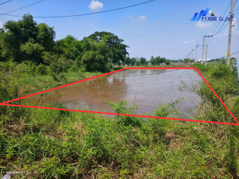 ขายที่ดิน 2-0-88 คลองสิบสอง หนองจอก