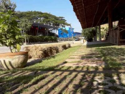 ขายที่ดิน 1 ไร่ 2 งาน 32 ตร.ว. ใกล้ถนนช้างคลาน-มหิดล และสนามบินเชียงใหม่