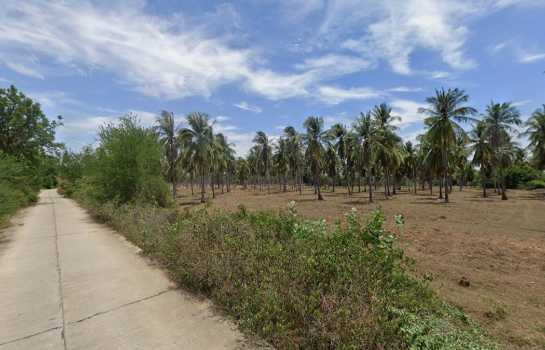 ขายที่ดินประจวบฯ 20 ไร่ 2 งาน 77 ตร.ว. ใกล้ถ้ำลับ หาดทุ่งน้อย และหาดน้ำมรกต