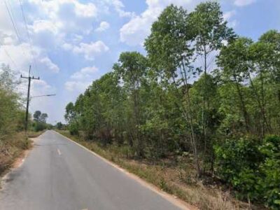 ขายที่ดินชลบุรี เนื้อที่ 25 ไร่ 1 งาน 84 ตร.ว. ใกล้โรงเรียนบ้านหนองไผ่แก้ว