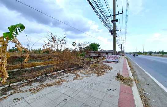 ขาย ที่ดิน ริมถนนปทุมธานี-บางประหัน เมืองปทุมธานี 110 ไร่ 1 งาน 66 ตรว เหมาะทำจัดสรร