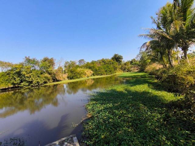 ขายที่ดินพร้อมสวนมะพร้าว อยู่ในเขตชุมชน มี น้ำ ไฟพร้อม ห่างจากตัวเมืองอุดร 20 นาที