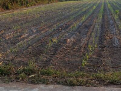 ขายที่ดินสวยติดถนน อำเภอลานสัก อุทัยธานี เดินทางสะดวก ใกล้แหล่งท่องเที่ยว