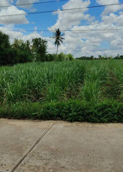 ขายที่ดินสวยติดถนน อำเภอลานสัก อุทัยธานี เดินทางสะดวก ใกล้แหล่งท่องเที่ยว