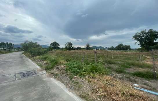 ขาย ที่ดิน ซอยไหหลำ ห้วยกะปิ เมืองชลบุรี 1 ไร่ ใกล้ถ.ข้าวหลาม ตลาดหนองมน เข้าออกได้หลายทาง เหมาะทำพูลวิลล่า บ้านจัดสรร.