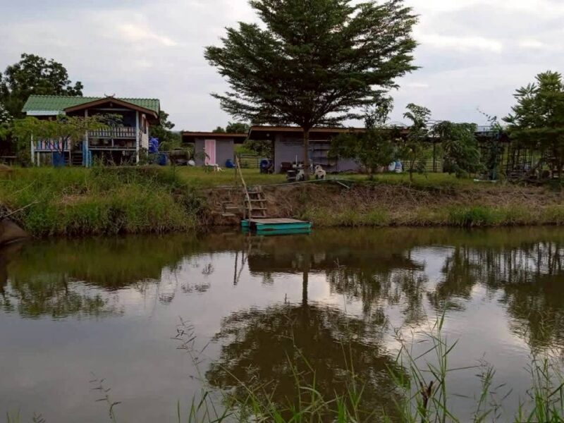 ขายที่ดินทางเลือก (ภบท5) ราคาจับต้องง่าย. ( 612บ./ ตร.วา ) ( 20 ไร่. : 4.9 ล้าน ) | ซื้อขาย เปลี่ยนชื่อได้ : พื้นที่. ปลอดภัยฯ หายห่วง | อากาศบริสุทธิ์ เงียบสงบ และ ส่วนตัว