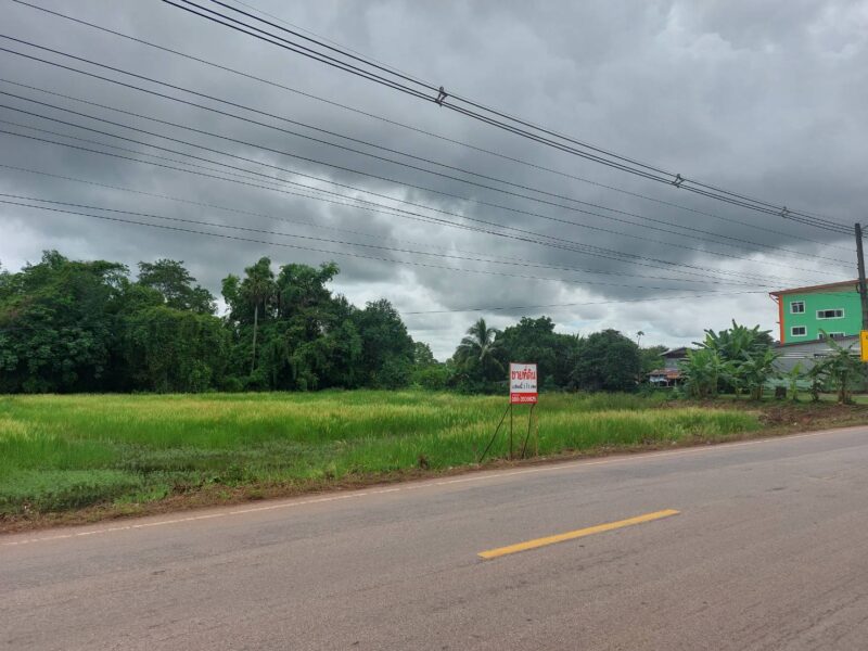 ขายที่ดิน 4 ไร่ 1 งาน ติดถนน ตำบล อำเภอเพ็ญ จังหวัดอุดรธานี