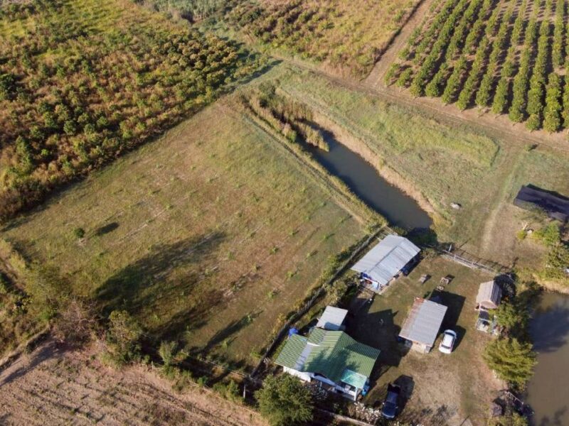 ขายที่ดินทางเลือก (ภบท5) ราคาจับต้องง่าย. ( 612บ./ ตร.วา ) ( 20 ไร่. : 4.9 ล้าน ) | ซื้อขาย เปลี่ยนชื่อได้ : พื้นที่. ปลอดภัยฯ หายห่วง | อากาศบริสุทธิ์ เงียบสงบ และ ส่วนตัว
