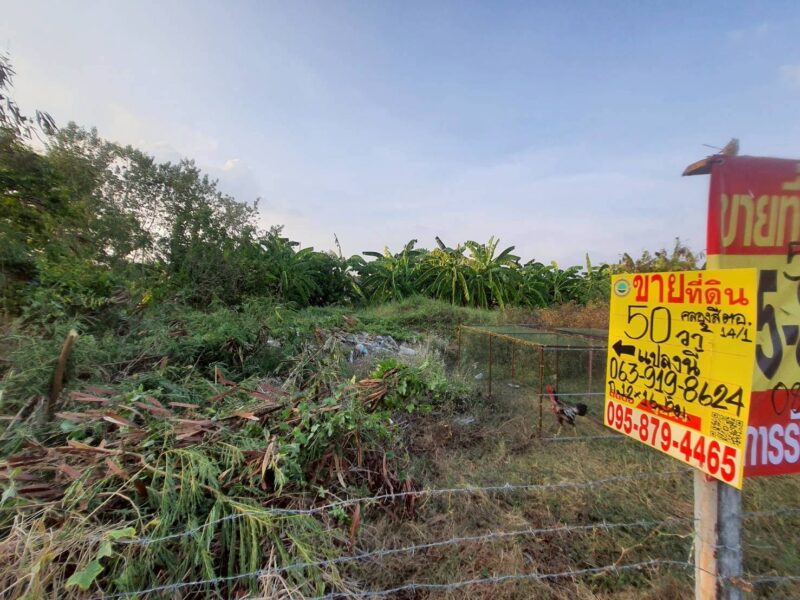 ขายด่วนที่ดิน 50 ตรว ติดถนนสาธารณะ ถมแล้ว ซ.คลองสี่ ตอ.14/1 คลองหลวง ปทุมธานี