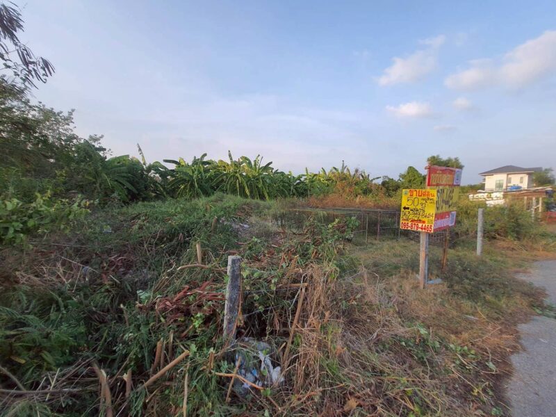 ขายด่วนที่ดิน 50 ตรว ติดถนนสาธารณะ ถมแล้ว ซ.คลองสี่ ตอ.14/1 คลองหลวง ปทุมธานี