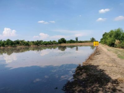 ขายด่วนที่ดิน 765 ตรว ติดถนนสาธารณะ เลียบคลองสิบสามฝั่งตะวันออก 38 หนองจอก กทม.