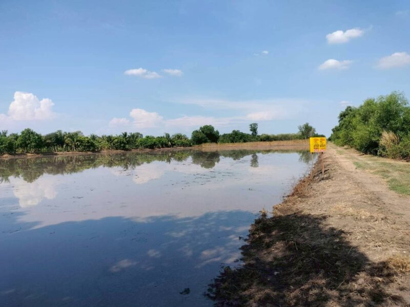 ขายด่วนที่ดิน 765 ตรว ติดถนนสาธารณะ เลียบคลองสิบสามฝั่งตะวันออก 38 หนองจอก กทม.