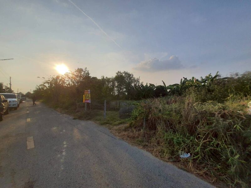 ขายด่วนที่ดิน 50 ตรว ติดถนนสาธารณะ ถมแล้ว ซ.คลองสี่ ตอ.14/1 คลองหลวง ปทุมธานี