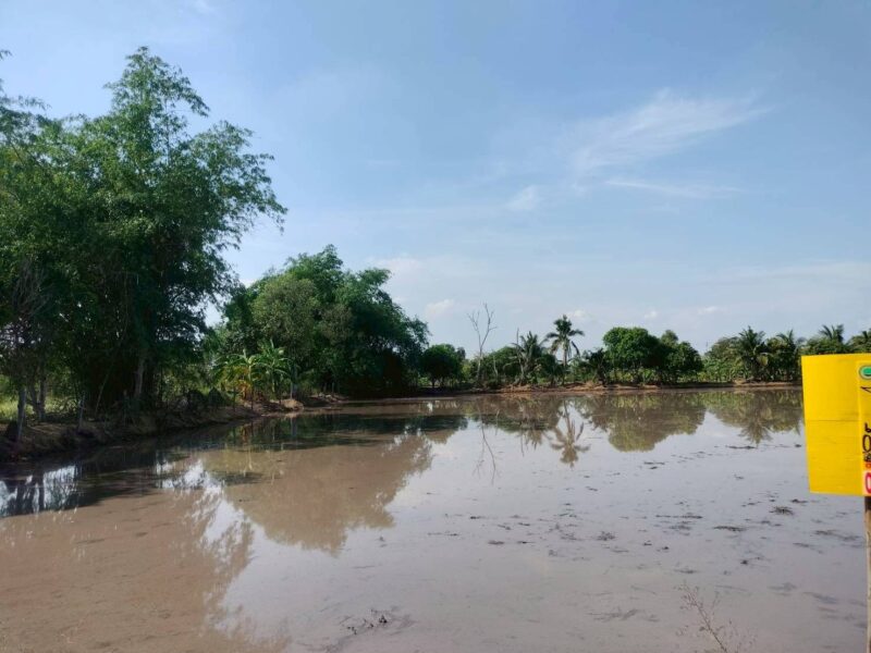 ขายด่วนที่ดิน 765 ตรว ติดถนนสาธารณะ เลียบคลองสิบสามฝั่งตะวันออก 38 หนองจอก กทม.