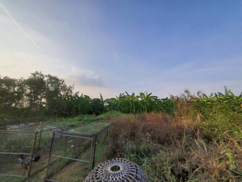 ขายด่วนที่ดิน 50 ตรว ติดถนนสาธารณะ ถมแล้ว ซ.คลองสี่ ตอ.14/1 คลองหลวง ปทุมธานี