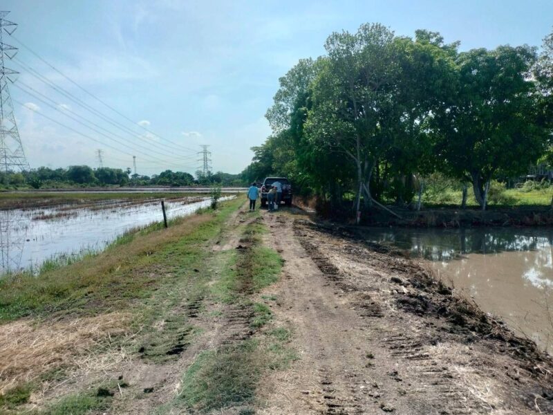 ขายด่วนที่ดิน 765 ตรว ติดถนนสาธารณะ เลียบคลองสิบสามฝั่งตะวันออก 38 หนองจอก กทม.