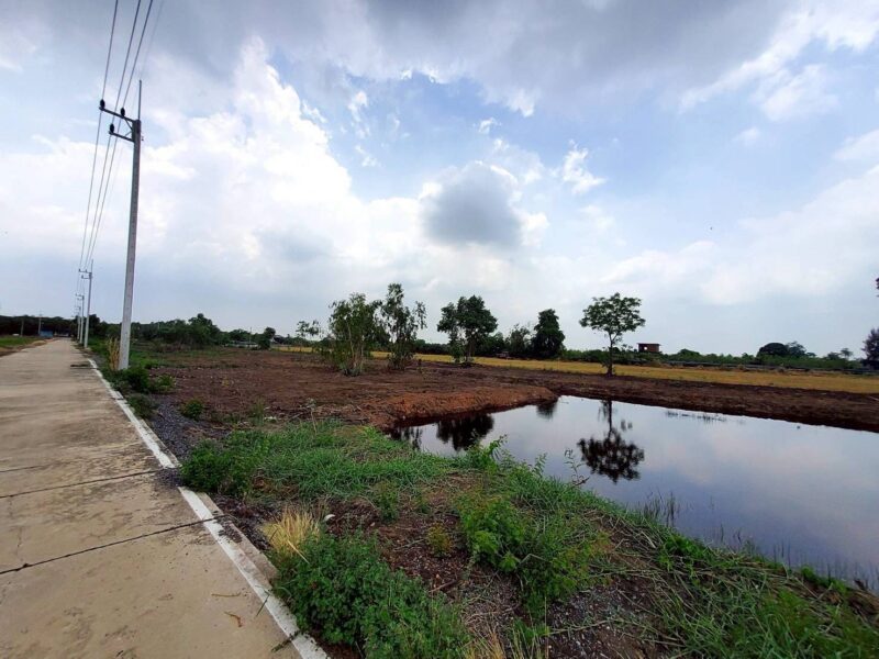 ขายด่วนที่ดิน 6 ไร่ ติดถนนคอนกรีต แบ่งได้ ซ.คลองสาม14/7 คลองหลวง ปทุมธานี