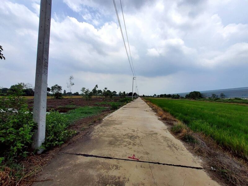 ขายด่วนที่ดิน 6 ไร่ ติดถนนคอนกรีต แบ่งได้ ซ.คลองสาม14/7 คลองหลวง ปทุมธานี