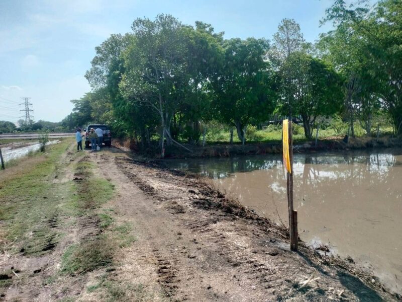 ขายด่วนที่ดิน 765 ตรว ติดถนนสาธารณะ เลียบคลองสิบสามฝั่งตะวันออก 38 หนองจอก กทม.