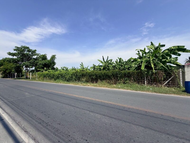 ขายด่วนที่ดินใกล้วัดอ้อมใหญ่ 367 ตรว ติดถนนสาธารณะ ซ.วัดเทียนดัด(อ้อมใหญ่ ) สามพราน นครปฐม