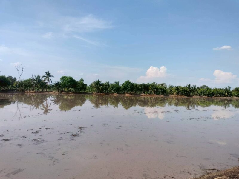 ขายด่วนที่ดิน 765 ตรว ติดถนนสาธารณะ เลียบคลองสิบสามฝั่งตะวันออก 38 หนองจอก กทม.