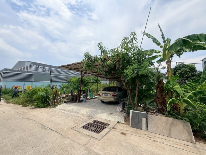 ขายด่วนที่ดินผังสีม่วงเข้ม 95 ตรว ติดถนนสาธารณะ ซ.นวนทอง 9 กระทุ่มแบน สมุทรสาคร
