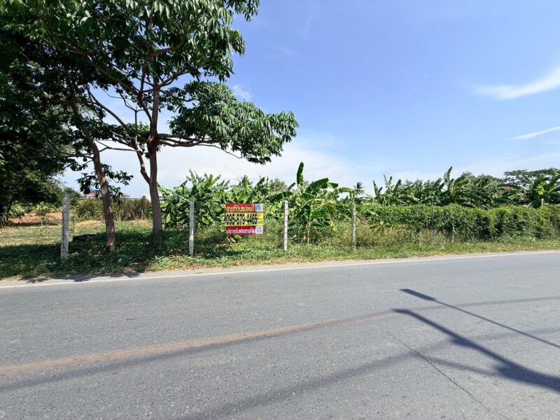ขายด่วนที่ดินใกล้วัดอ้อมใหญ่ 367 ตรว ติดถนนสาธารณะ ซ.วัดเทียนดัด(อ้อมใหญ่ ) สามพราน นครปฐม