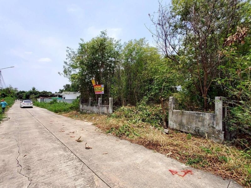ขายด่วนที่ดินวิวคลอง 95 ตรว ติดถนนสาธารณะ คลองสี่ ซ.สุสวาส ธัญบุรี ปทุมธานี
