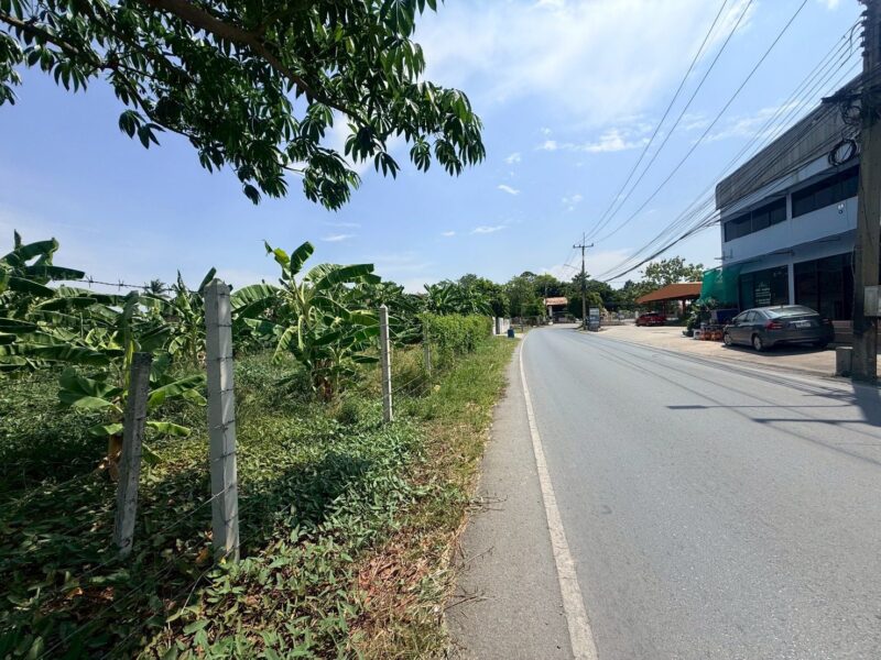ขายด่วนที่ดินใกล้วัดอ้อมใหญ่ 367 ตรว ติดถนนสาธารณะ ซ.วัดเทียนดัด(อ้อมใหญ่ ) สามพราน นครปฐม
