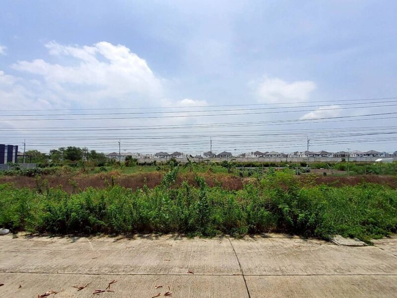 ขายด่วนที่ดินวิวคลอง 95 ตรว ติดถนนสาธารณะ คลองสี่ ซ.สุสวาส ธัญบุรี ปทุมธานี