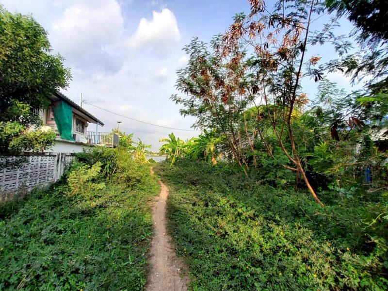 ขายที่ดินวิวแม่น้ำเจ้าพระยา 148 ตรว ติดถนนสาธารณะ ถมแล้ว ซ.วัดตาล บางตะไนย์ ปากเกร็ด นนทบุรี