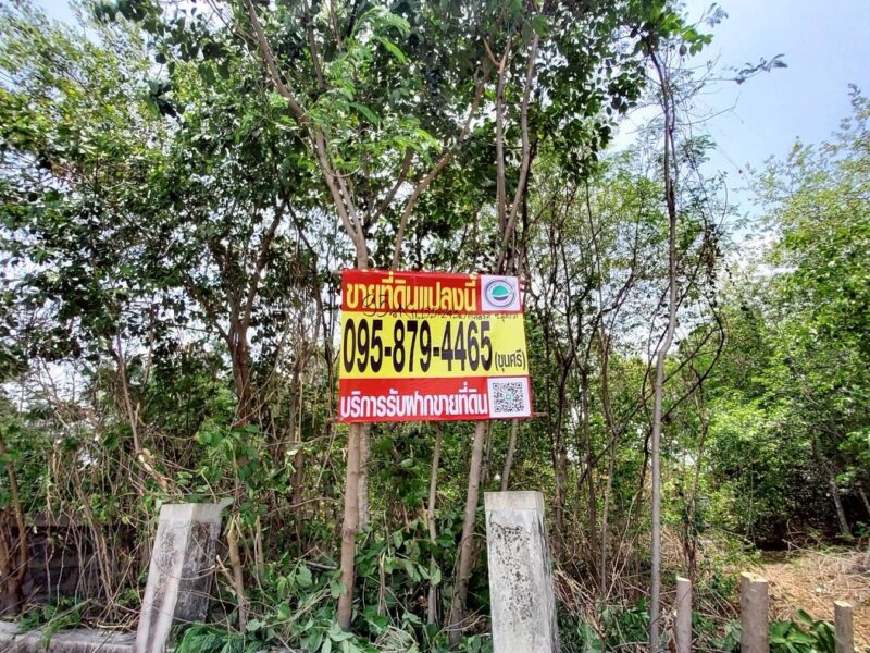 ขายด่วนที่ดินวิวคลอง 95 ตรว ติดถนนสาธารณะ คลองสี่ ซ.สุสวาส ธัญบุรี ปทุมธานี